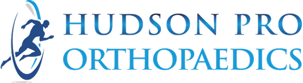 hudson-pro